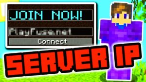 Minecraft Servers